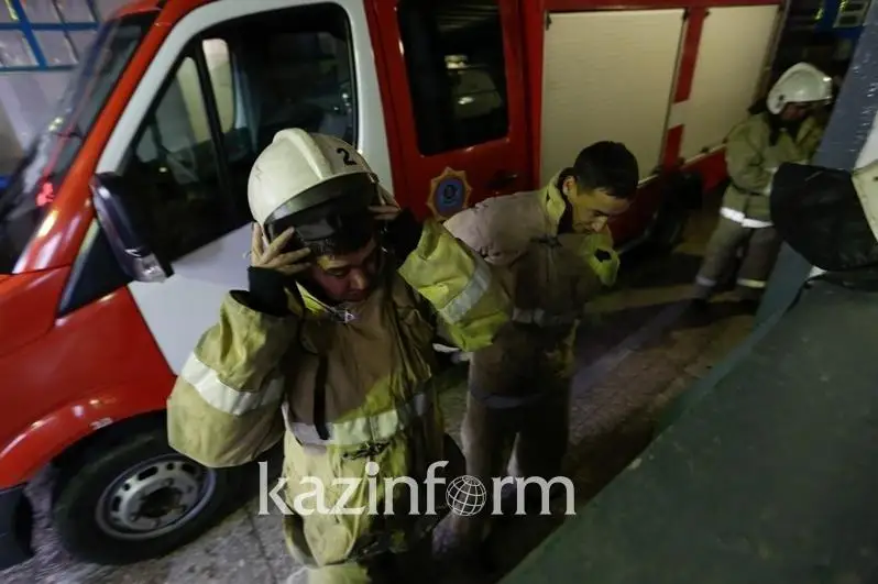 Пожар произошел в лесном резервате «Ертіс орманы» в Павлодарской области