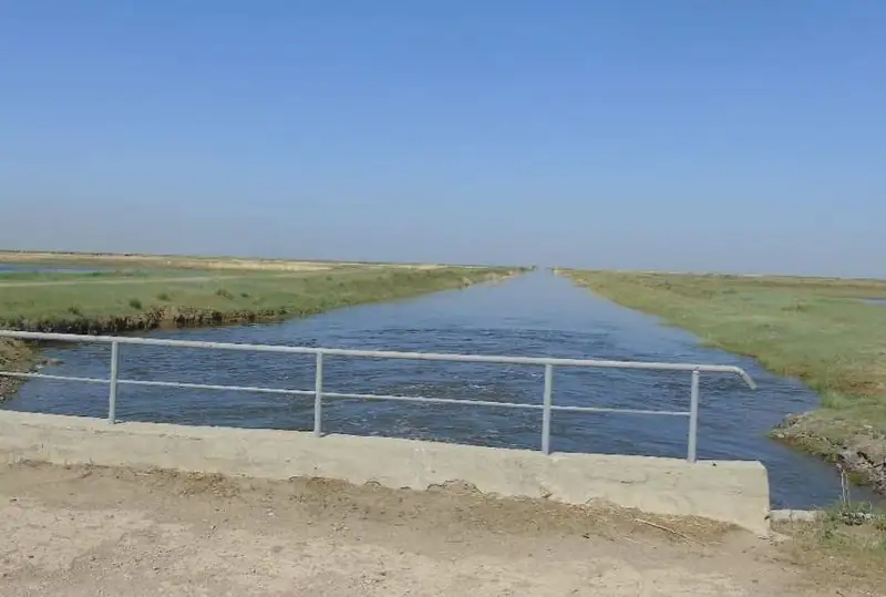 Павлодарская пойма реки Иртыш получила необходимое количество воды при попуске