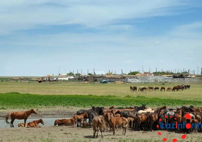 ФОТОРЕПОРТАЖ