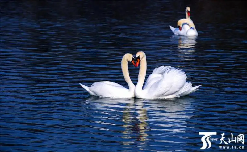 Қазақстан инвестиция салуға ең қолайлы елдердің бірі  - Шетелдегі қазақ тілді БАҚ-қа шолу