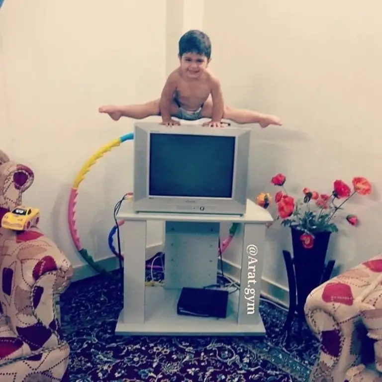 Арата Хоссейнидің