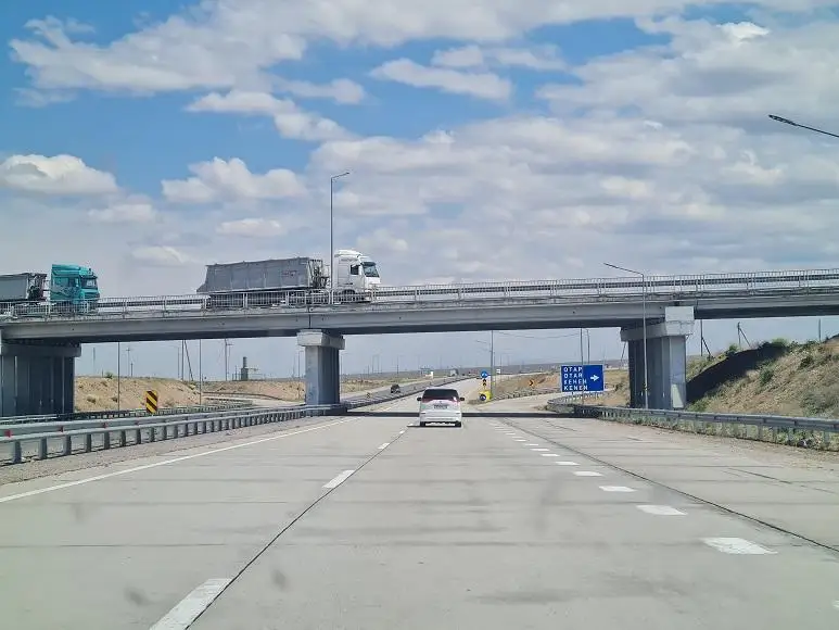 12 ДТП из-за скота произошли в Жамбылской области в этом году