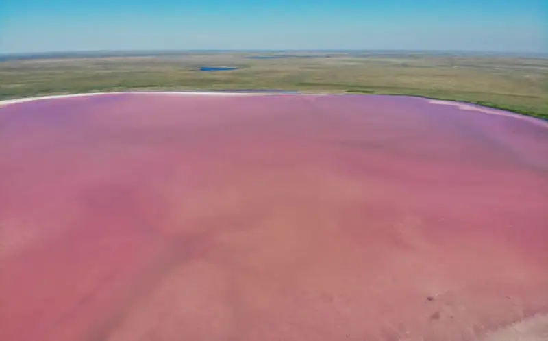 قىزعىلت كولدىڭ قۇپياسى. كوبەيتۇز جايلى نە بىلەسىز؟