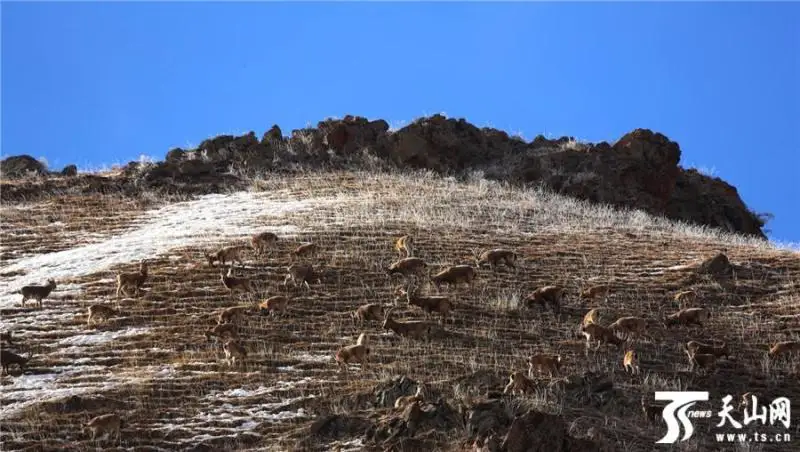 Қазақстан инвестиция салуға ең қолайлы елдердің бірі  - Шетелдегі қазақ тілді БАҚ-қа шолу