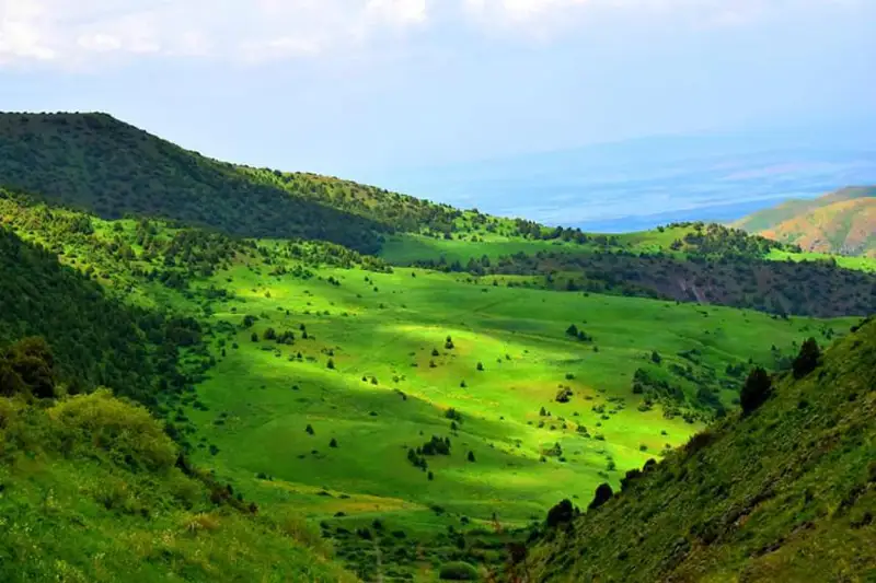 Горные ущелья Жамбылской области – мистика, природные красоты и эликсир молодости