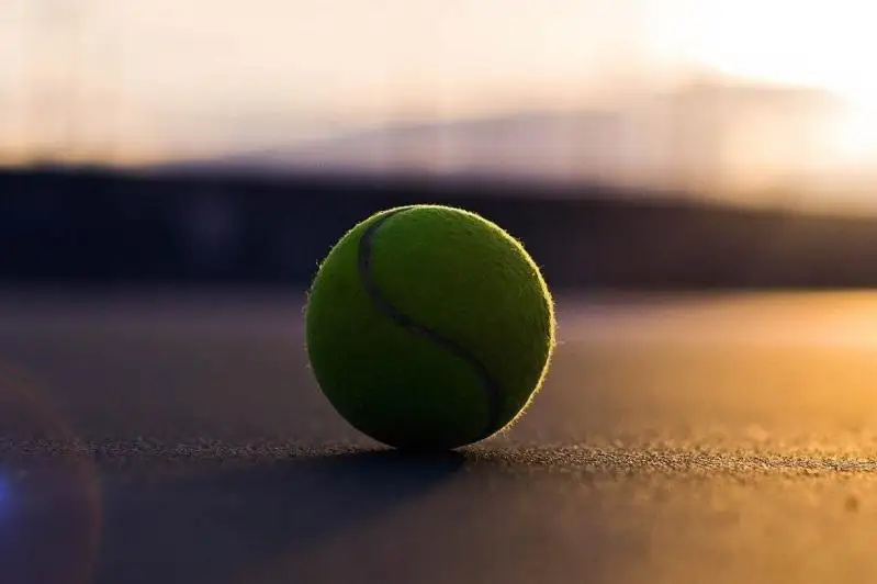 تەننيس: قىتايدا بيىلعا جوسپارلانعان بارلىق تۋرنيرلەر وتپەيتىن بولدى