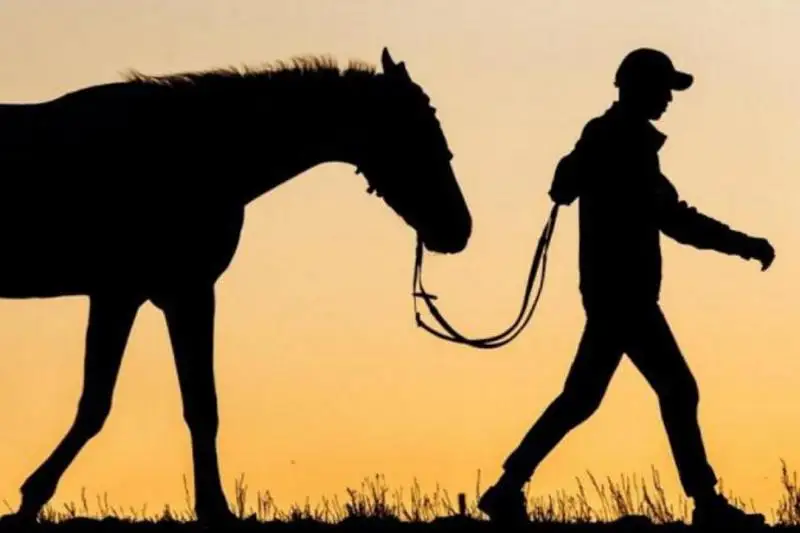 سىرىم اۋدانىندا پوليتسيا ينسپەكتورى مال ۇرلادى دەگەن ايىپپەن ۇستالدى