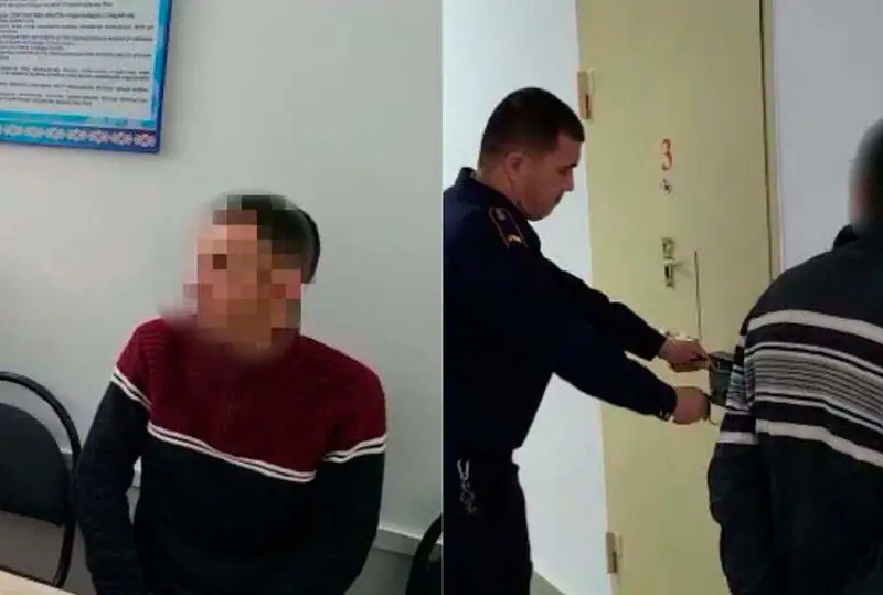 Скот на 3 млн тенге похитили два жителя Туркестанской области