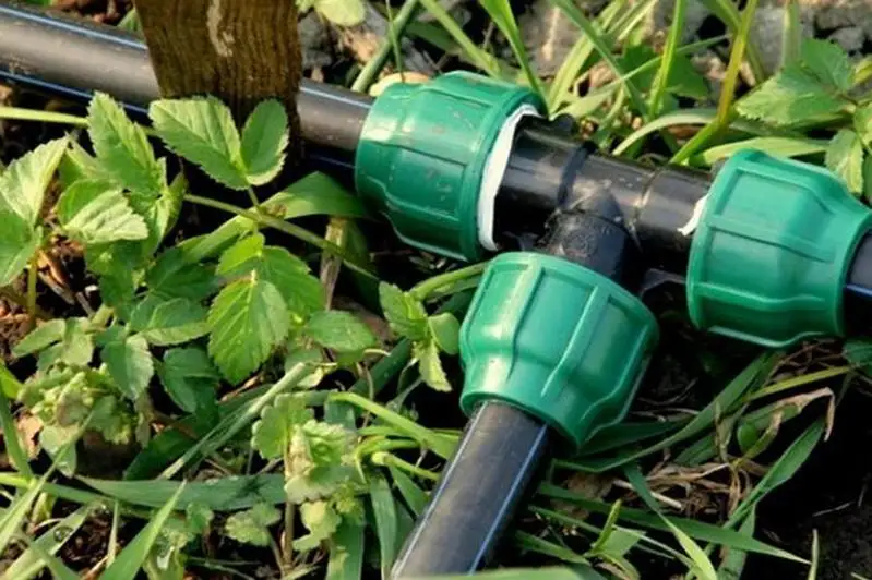 Поливочный трубопровод обойдётся Актау в 700 миллионов тенге