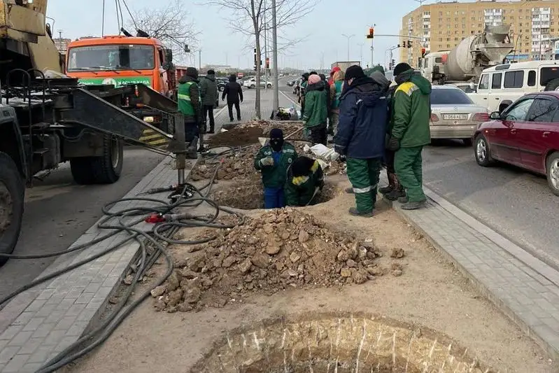 Astanada iri kólemdi aǵashtar otyrǵyzyla bastady