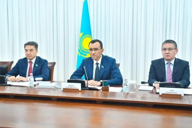 Казахстан придаёт особое значение развитию сотрудничества с Китаем - Маулен Ашимбаев