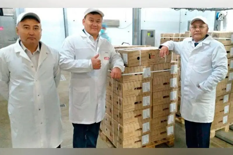 اقتوبە وبلىسىنان قىتايعا مۇزداتىلعان سيىر ەتىنىڭ ءبىرىنشى پارتياسى جونەلتىلدى