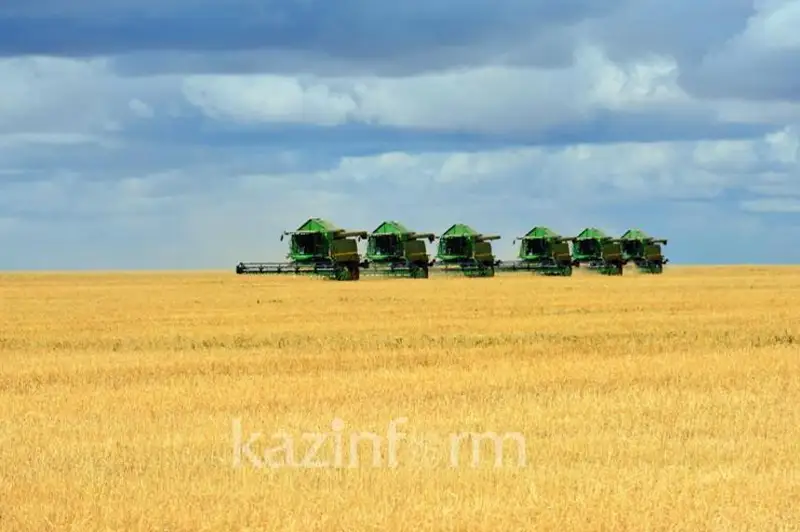Аграрный сектор не оправдывает и десятой доли своего потенциала – Талгат Калиев