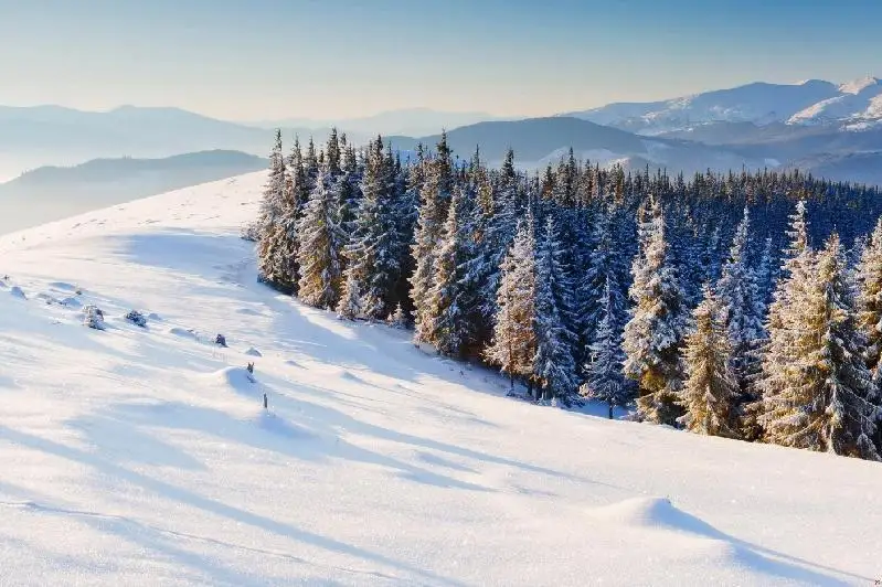 Покрытая снегом площадь увеличилась в Казахстане до 61%