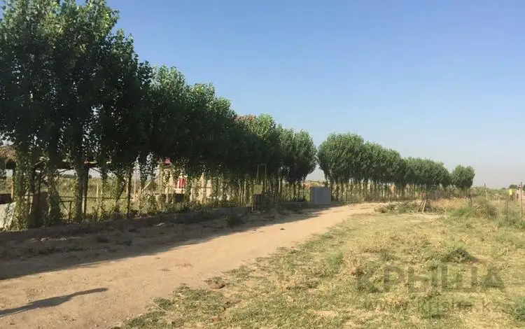 مو يان. عاجايىپ كەزدەسۋ