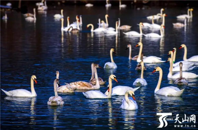 Қазақстан инвестиция салуға ең қолайлы елдердің бірі  - Шетелдегі қазақ тілді БАҚ-қа шолу