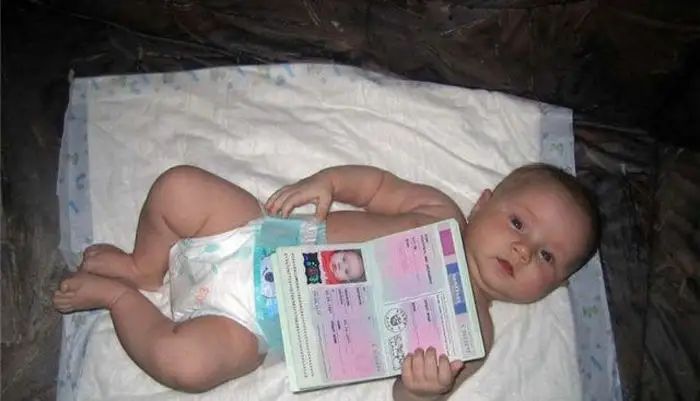 5114036_w640_h640_vklejka