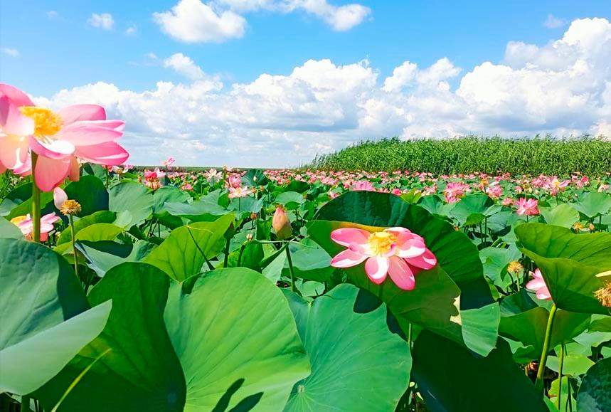 Шұлықтар мен корсеттегі ең сексуалды қыздар