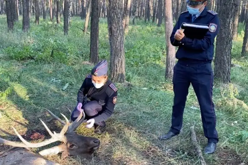 Девушка-криминалист из СКО: об эмоциях, сложностях работы и семейном счастье