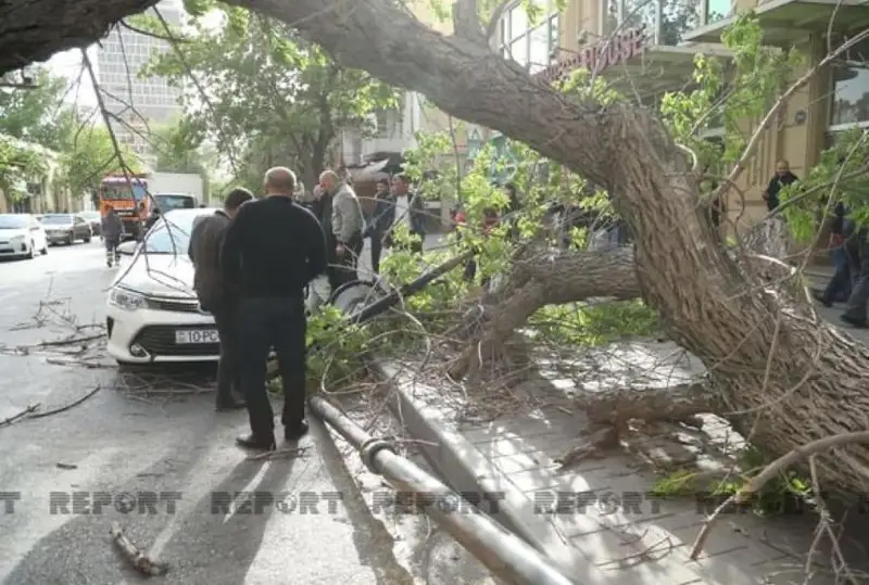 Сильный шквальный ветер поднялся в Баку