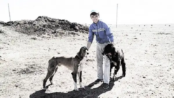 1495096940_img-20170512-wa0006-kopiya-kz