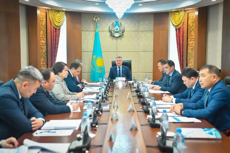 В Сенате обсудили механизмы по борьбе с мошенничеством и финансовыми пирамидами