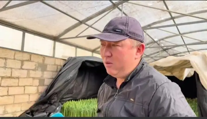 Нефтяник из Мангистауской области выращивает тюльпаны