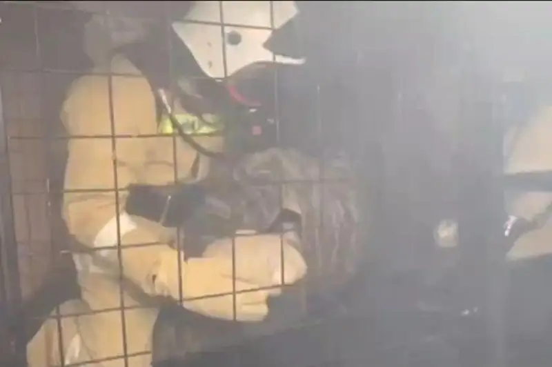 Как тренируются курсанты МЧС в теплодымокамере