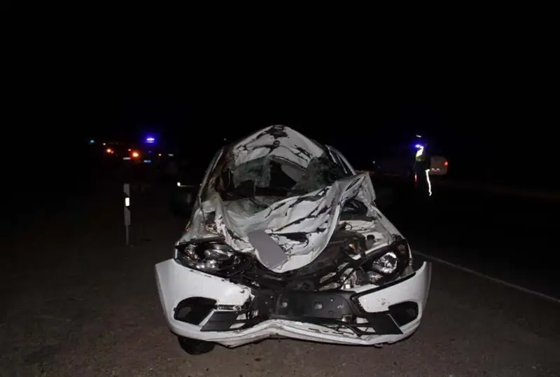 Қызылордада сиырға соғылған көлікте бір адам қаза тауып, төрт адам жарақат алды