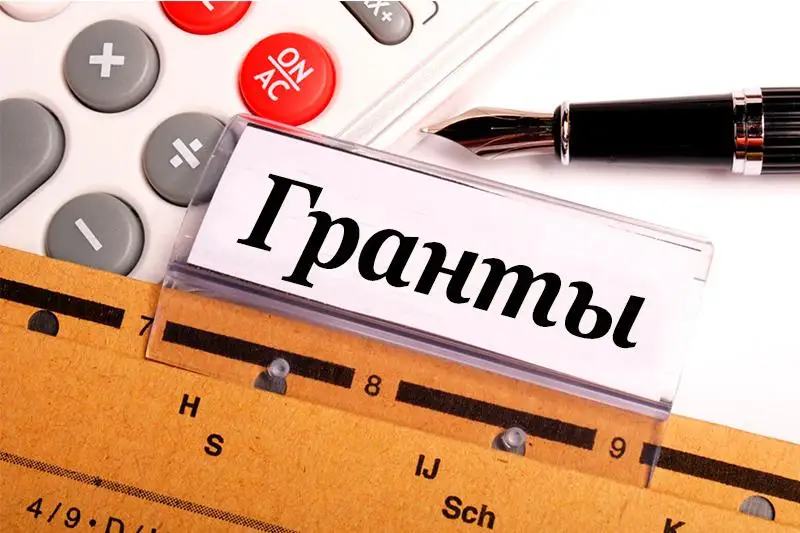 Малые гранты в сфере патриотического воспитания впервые выделят в Казахстане