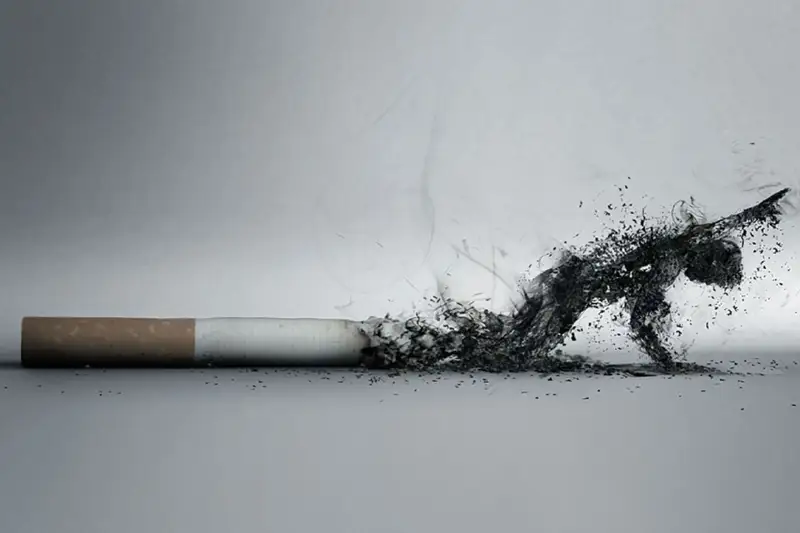 تەمەكىنى تاستاۋعا يتەرمەلەيتىن 12 دەرەك