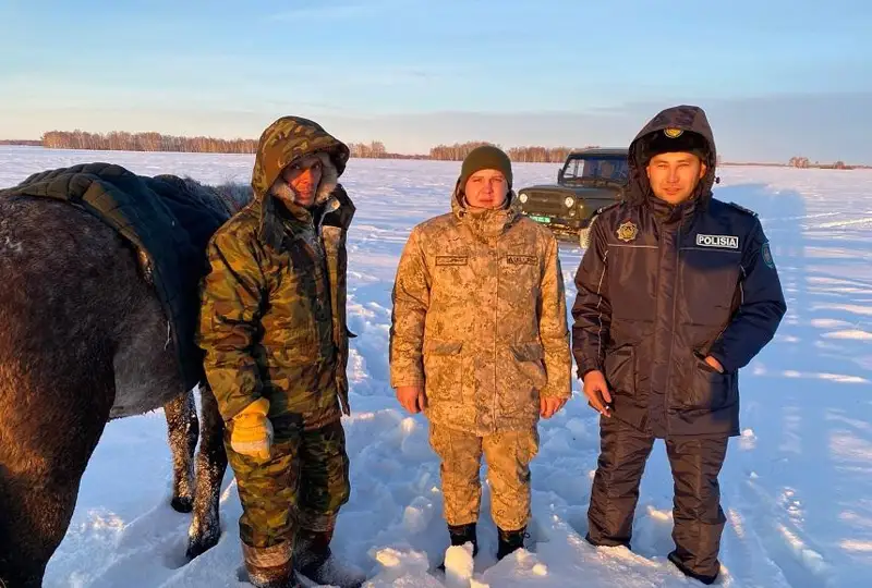 Заблудившегося пастуха нашли полицейские в Костанайской области