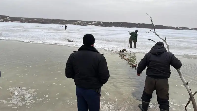Полицейские предупредили актюбинцев об опасности выхода на тонкий лед