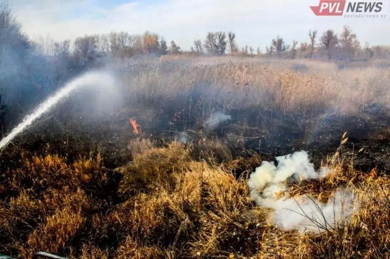 Pavlodar oblysynda dala órti úsh aýdannyń jerine jaıyldy