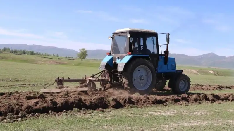 Уборочная кампания  завершается в Жамбылской области