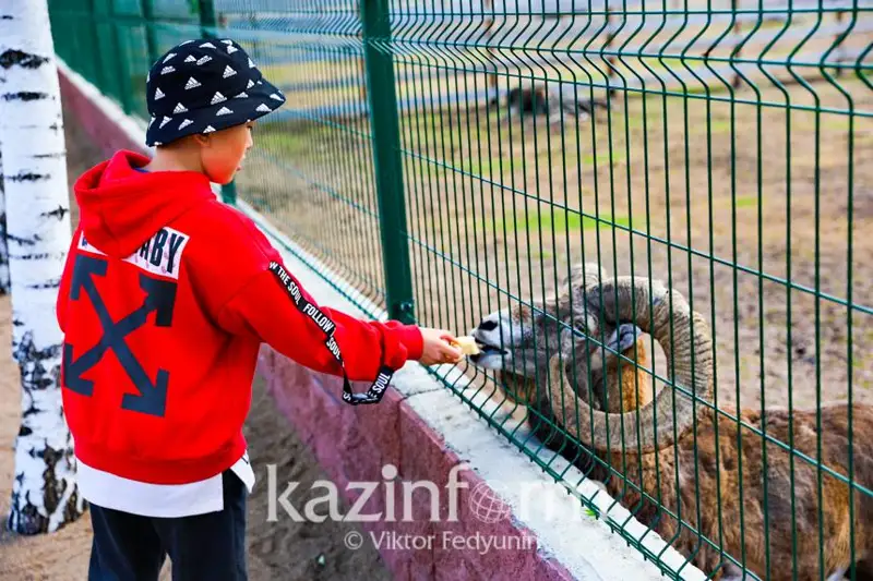 Нужно менять отношение к окружающей среде и животным – министр экологии