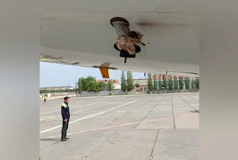 Сотый случай столкновения самолетов с птицами зафиксировали в Air Astana