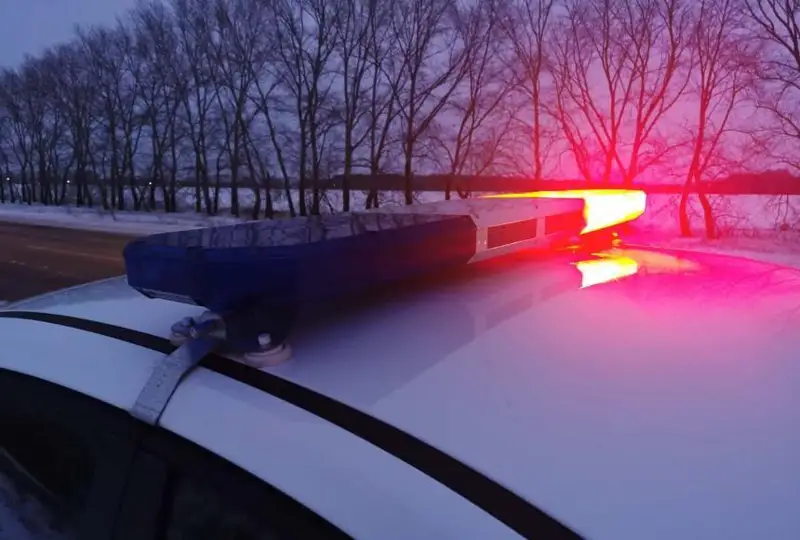 Почти тысячу сайгачьих рогов изъяли у браконьеров на окраине Конаева