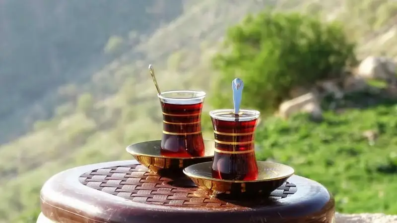 دارىگەر شايدى الكوگولسىز سۋسىنعا تەڭەدى