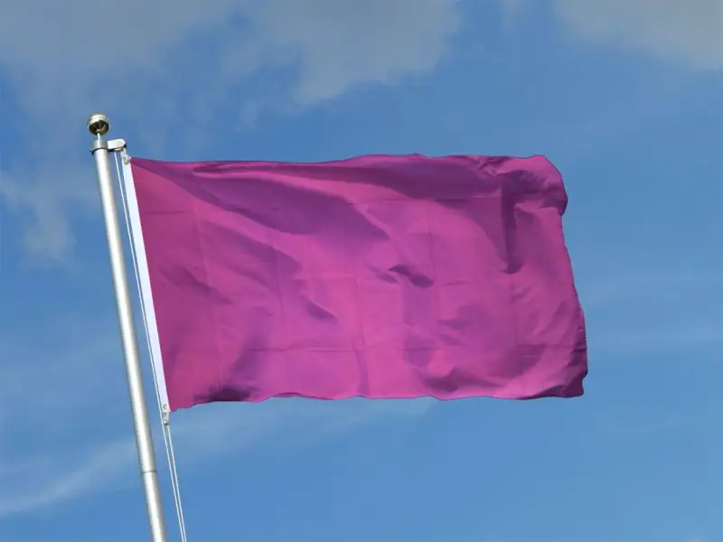 نە سەبەپتى تۋلاردا كۇلگىن ءتۇس جوق؟