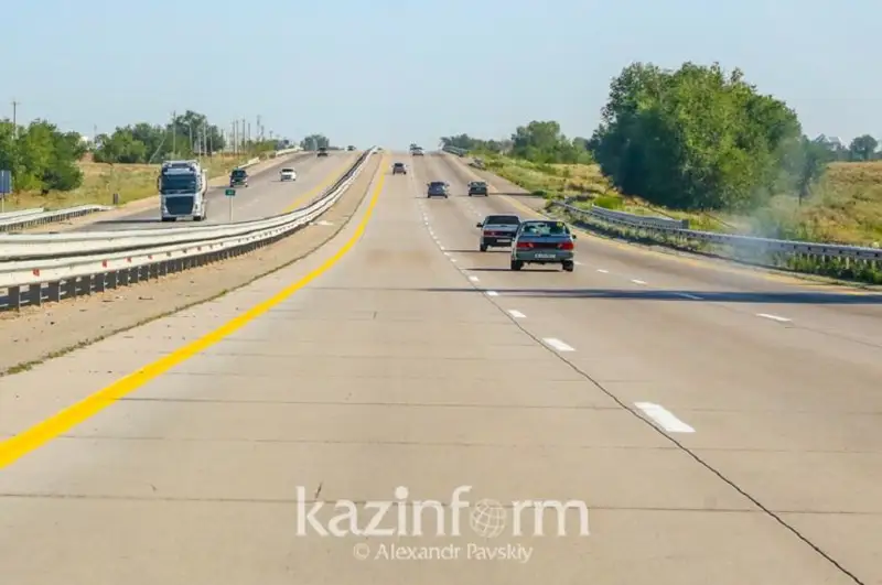 Когда появятся первые экодуки для животных на автодорогах Казахстана