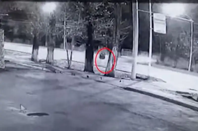 Смертельное ДТП попало на видео в Алматы