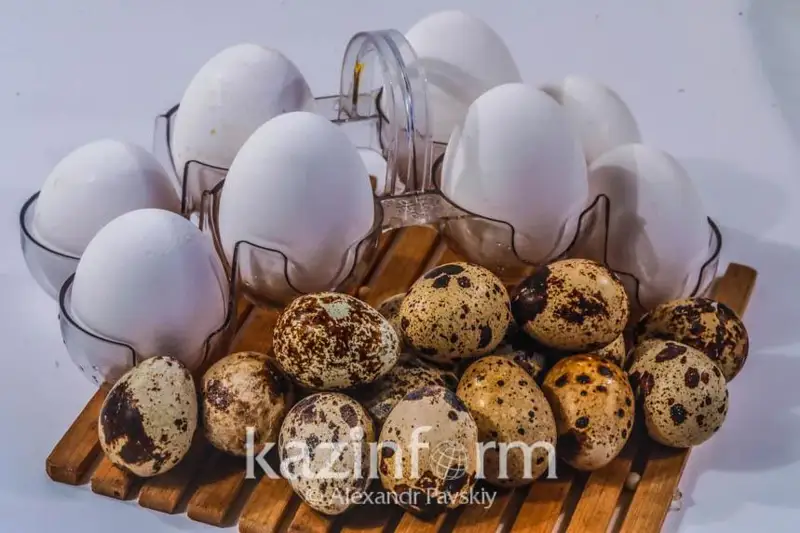 Казахстан обеспечивает внутренние потребности яйцом на 100%