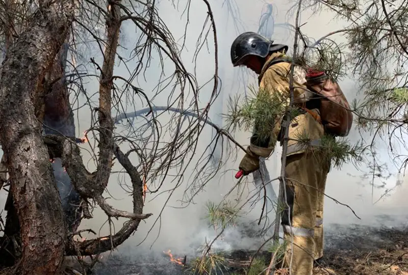 В ближайшее время мы должны полностью ликвидировать пожары - глава МЧС РК