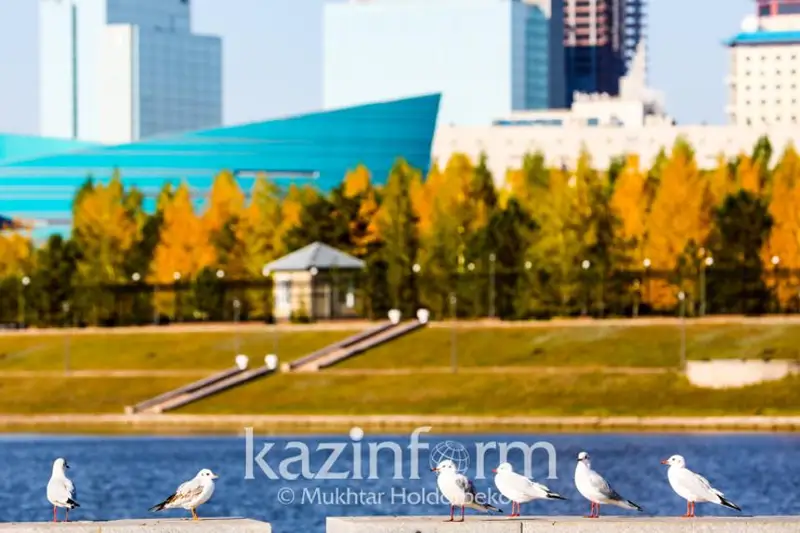 Повышение температуры и ясную погоду прогнозируют синоптики в РК в ближайшие три дня