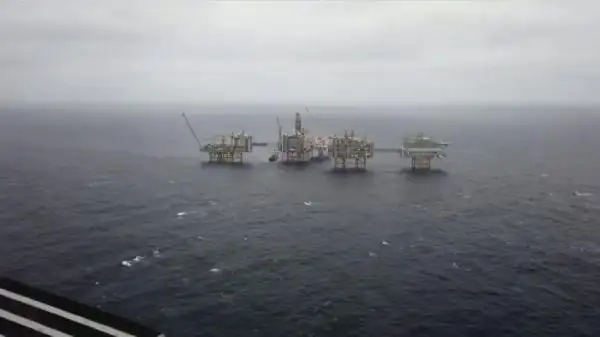 مۇناي باعاسى كۇرت ءوستى