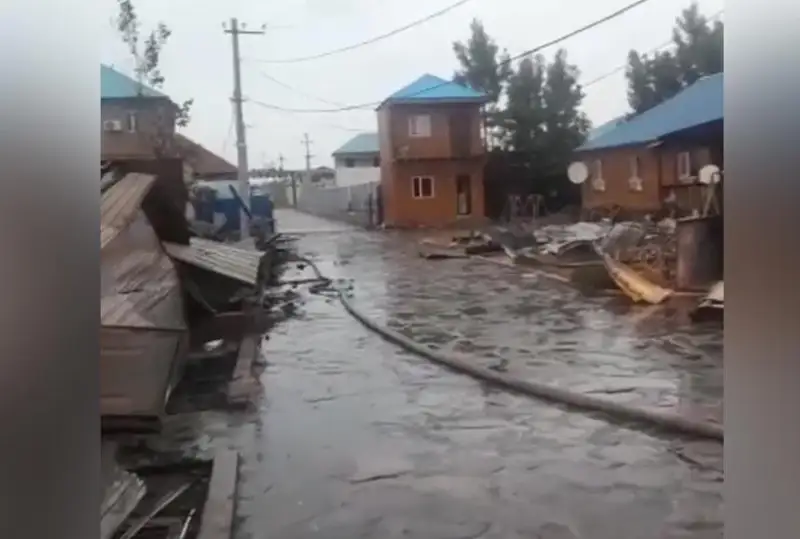 Пожар на побережье Алаколя ликвидирован: пострадали 4 базы отдыха