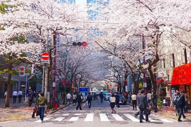 ەلباسى: جاپونيا - ازياداعى ماڭىزدى سەرىكتەستەرىمىزدىڭ ءبىرى