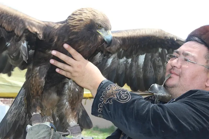 تارازدىق ەكونوميست ماماندىعىن اۋىستىرىپ، بۇركىت باپتاپ ءجۇر