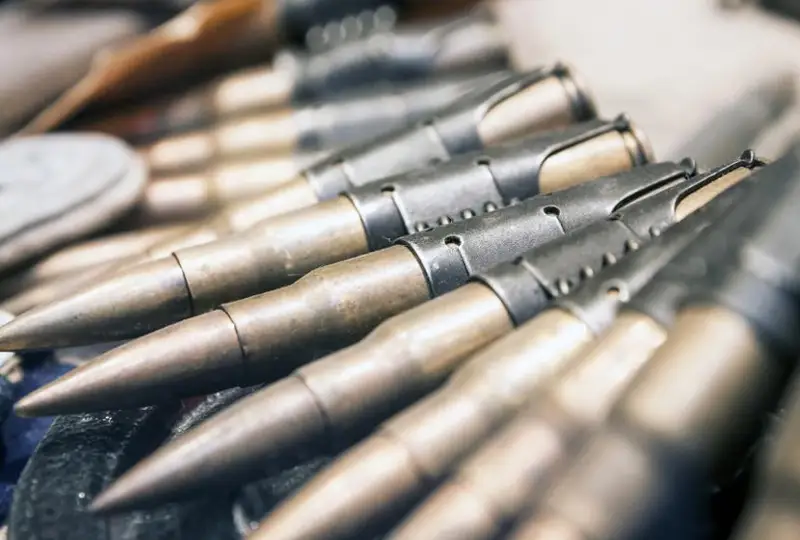 Оружие и боеприпасы нашли жамбылские полицейские